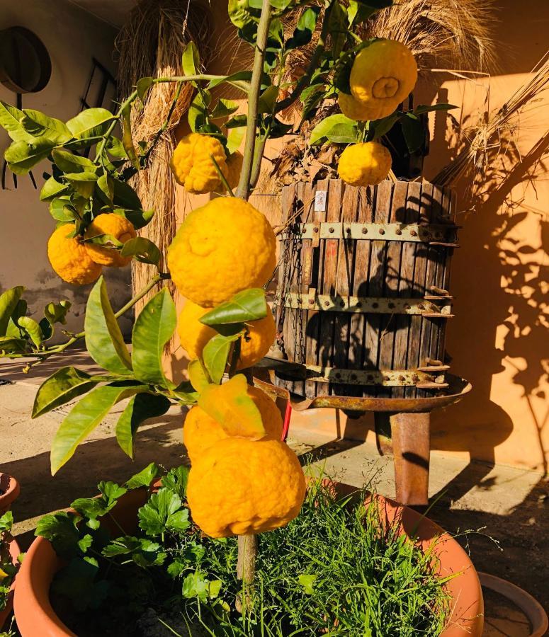 Il Paradiso Agroturismo