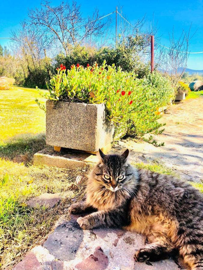 Il Paradiso Agroturismo *