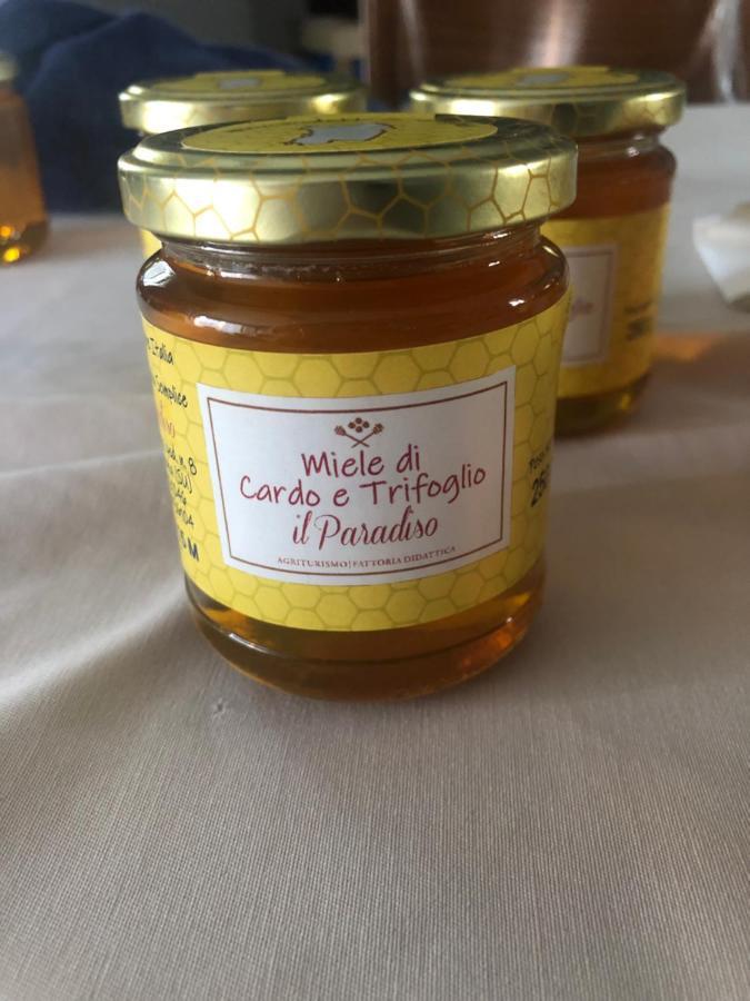 Il Paradiso Bauernhof *